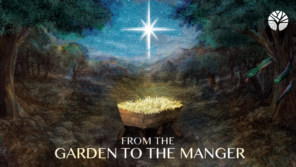 From the Garden to the Manger (Advent 2025)